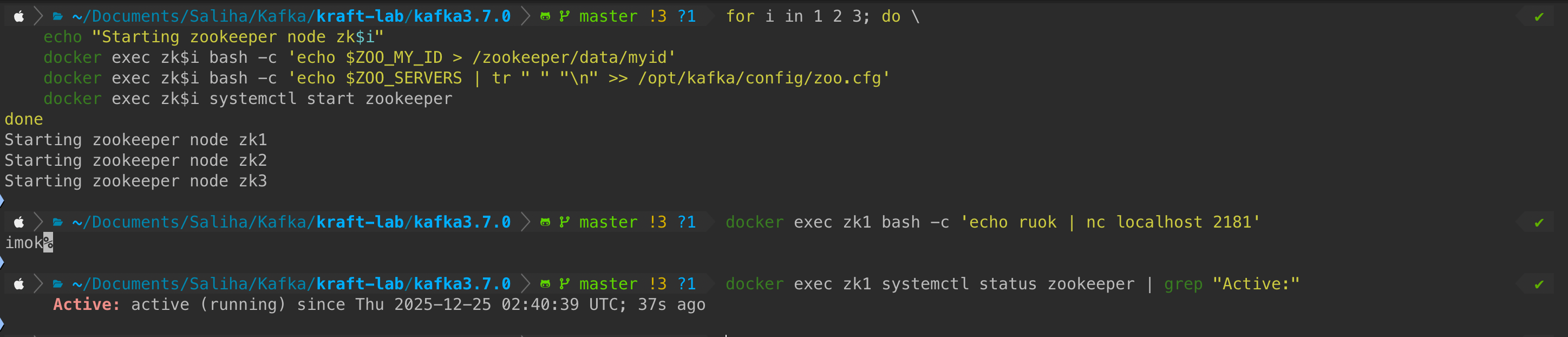 ZooKeeper Initialization