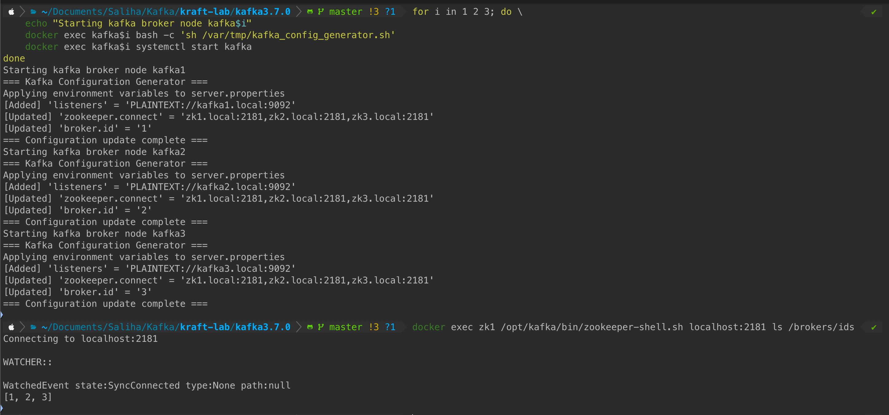 Kafka Brokers Initialization
